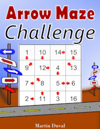 Arrow Maze Challenge